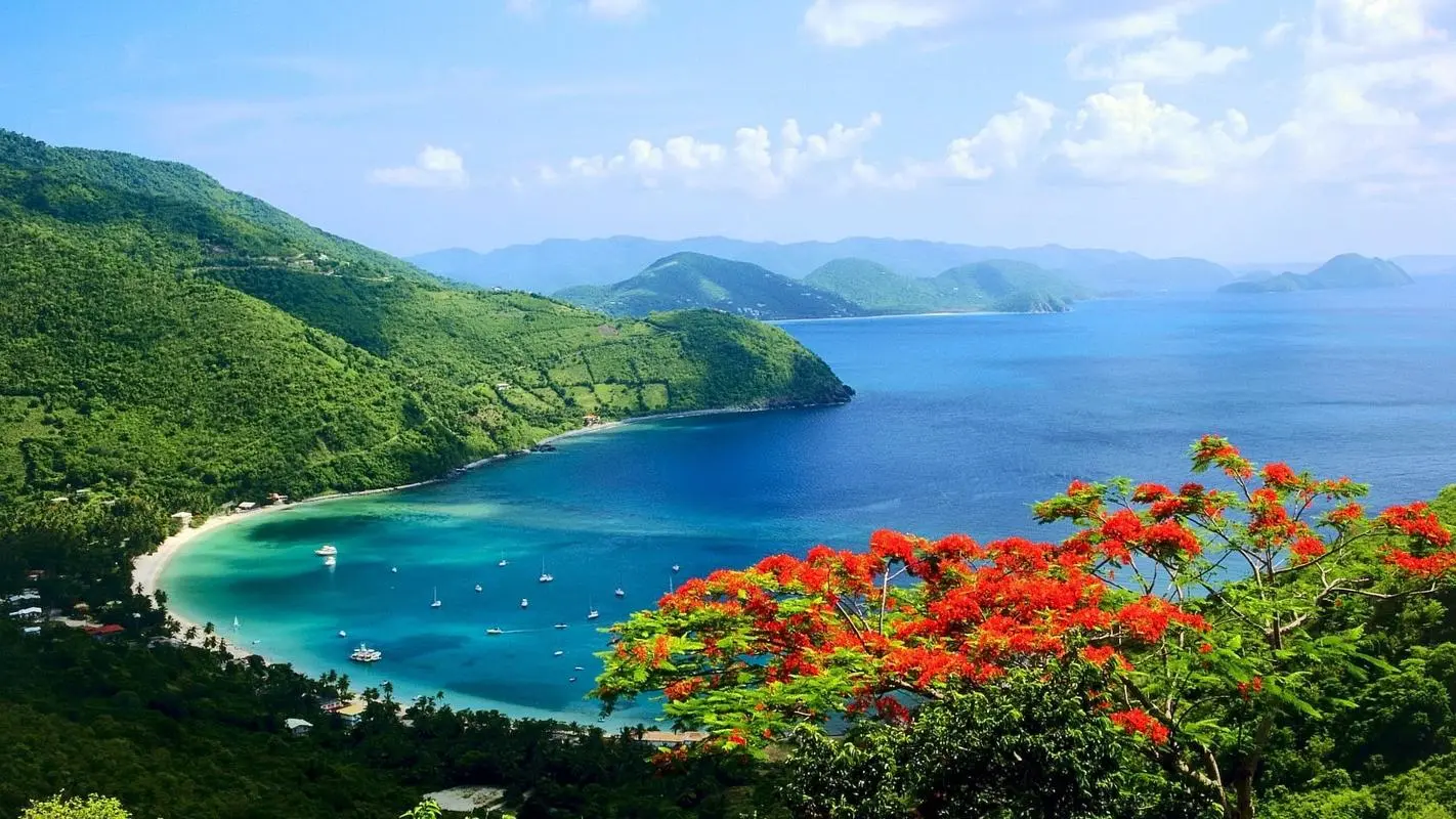 高端高精度新型